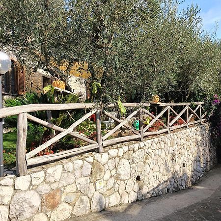 Cynara Holiday House Massa Lubrense Buitenkant foto