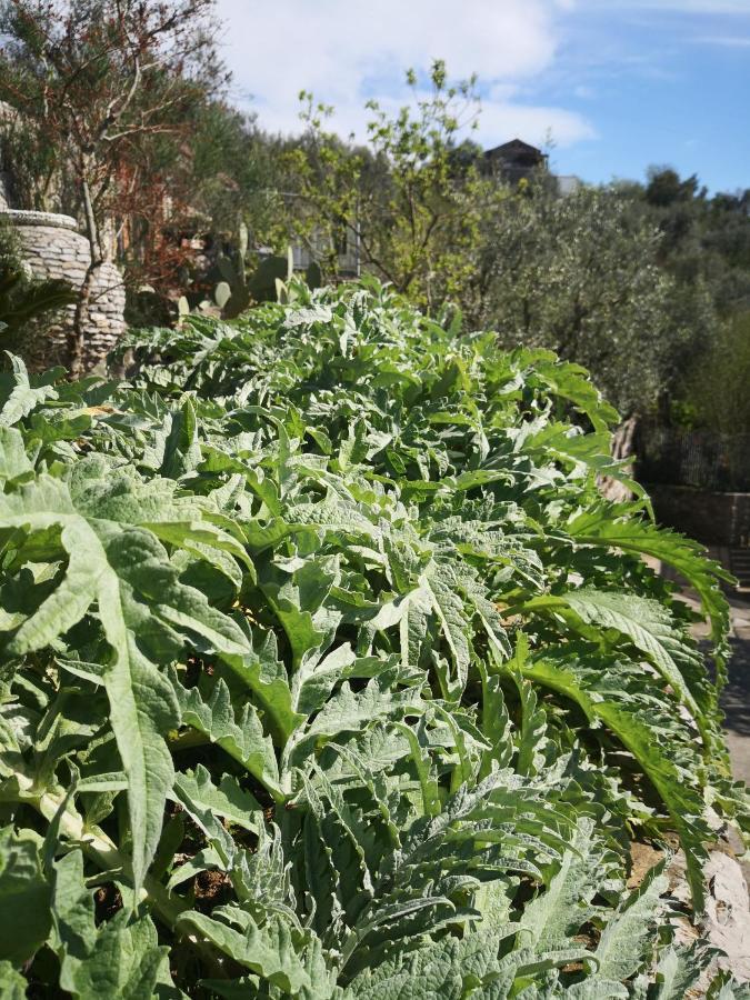 Cynara Holiday House Massa Lubrense Buitenkant foto