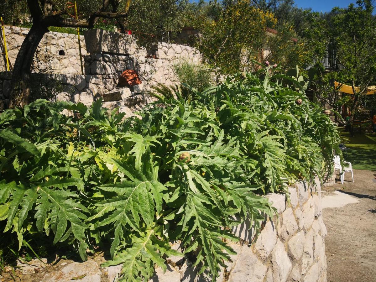 Cynara Holiday House Massa Lubrense Buitenkant foto