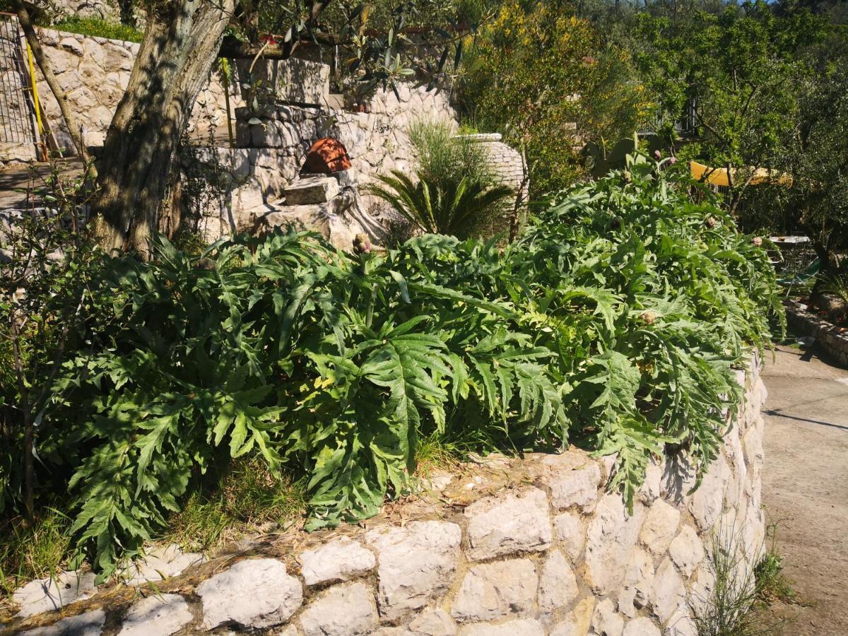 Cynara Holiday House Massa Lubrense Buitenkant foto